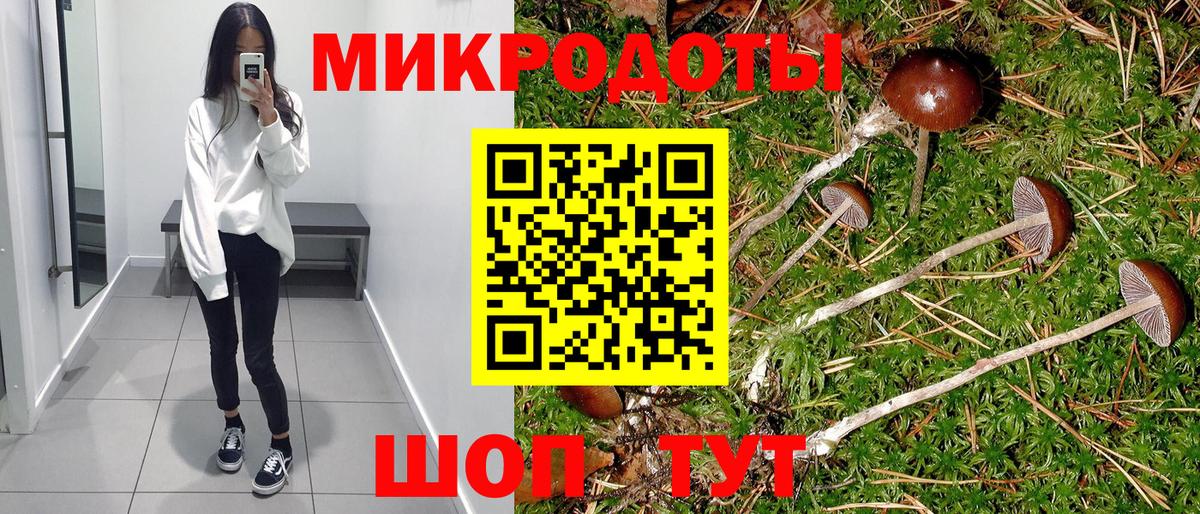 Псилоцибиновые грибы мицелий  Вход с VPN  Кудымкар 